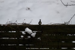 fotografie-22