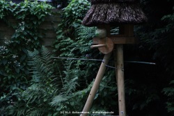 fotografie-18