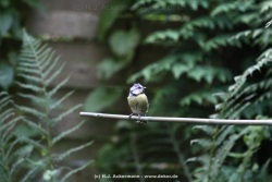 fotografie-19
