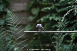 fotografie-21