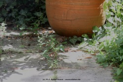 fotografie-2
