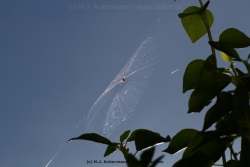fotografie-1