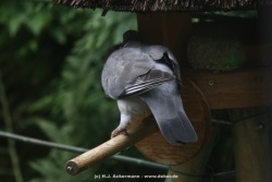fotografie-2