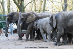 fotografie-16