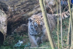 fotografie-12