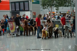 fotografie-1