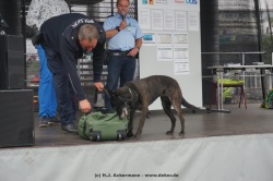 fotografie-13