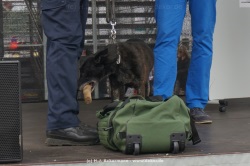 fotografie-25