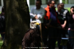 fotografie-4