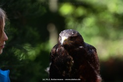 fotografie-14