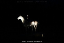 fotografie-112