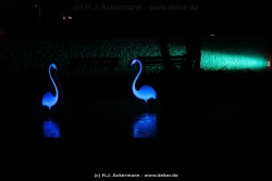 fotografie-10