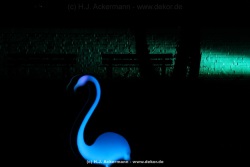 fotografie-9