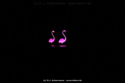 fotografie-143