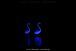 fotografie-166