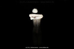 fotografie-18