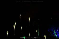fotografie-39