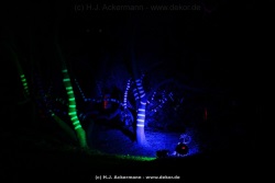 fotografie-46