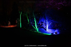 fotografie-57