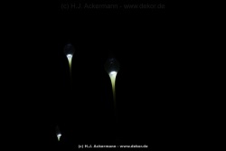 fotografie-164