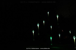 fotografie-58