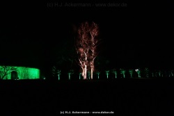 fotografie-43