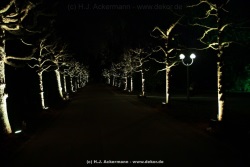 fotografie-20
