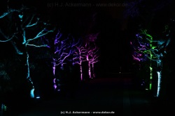 fotografie-140