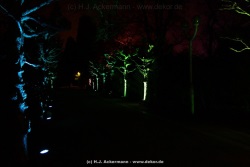 fotografie-139