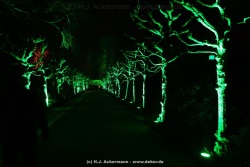 fotografie-48