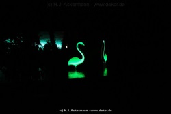 fotografie-16