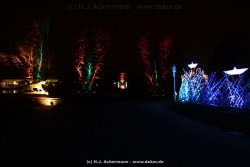 fotografie-201