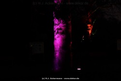 fotografie-166
