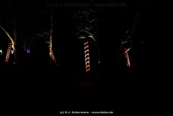 fotografie-142