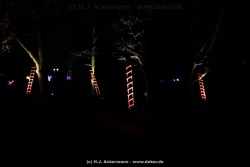fotografie-160