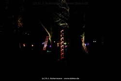 fotografie-163