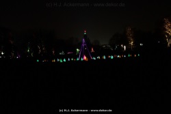 fotografie-128