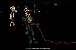 fotografie-13