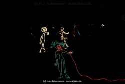 fotografie-26