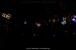 fotografie-31