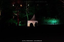 fotografie-42