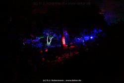 fotografie-126