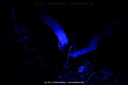 fotografie-45