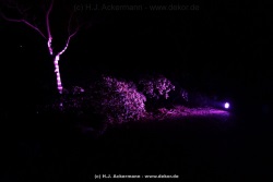 fotografie-16