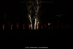 fotografie-8