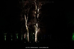 fotografie-3