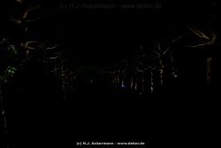 fotografie-49
