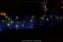 fotografie-11