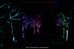fotografie-29