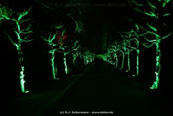 fotografie-30